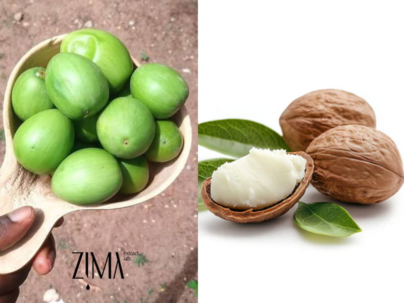 شی باتر
